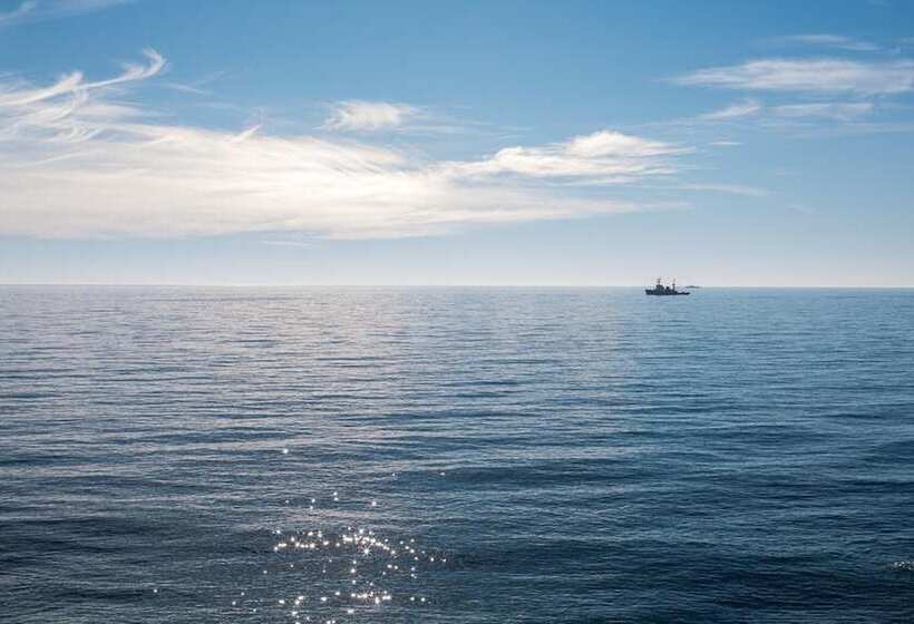 سوییت با چشم‌انداز دریا, Dolphin Resort & Conference Center