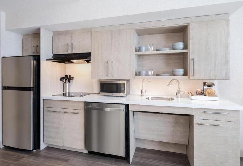 استودیو استاندارد با تخت کینگ, Element San Jose Airport