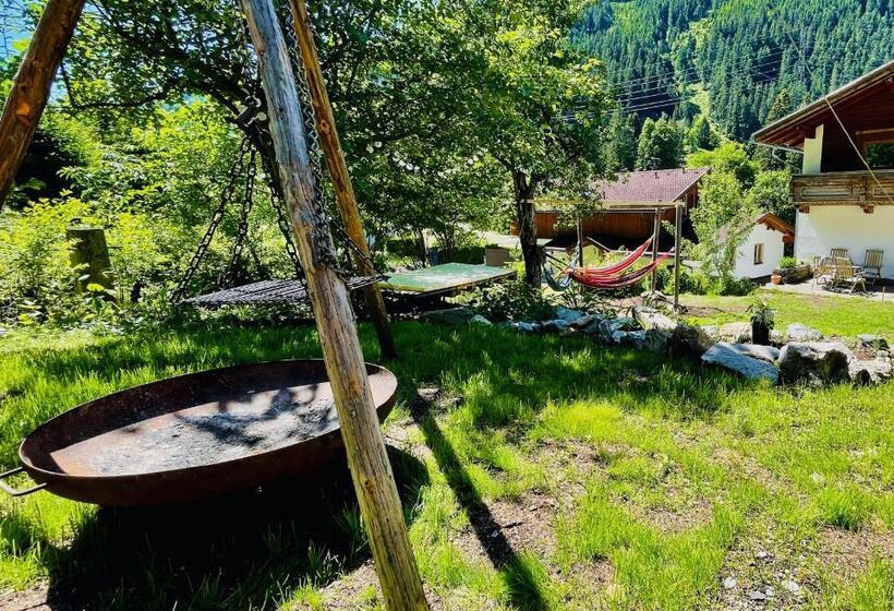 اتاق استاندارد چهار تخته, Backyard Mountain