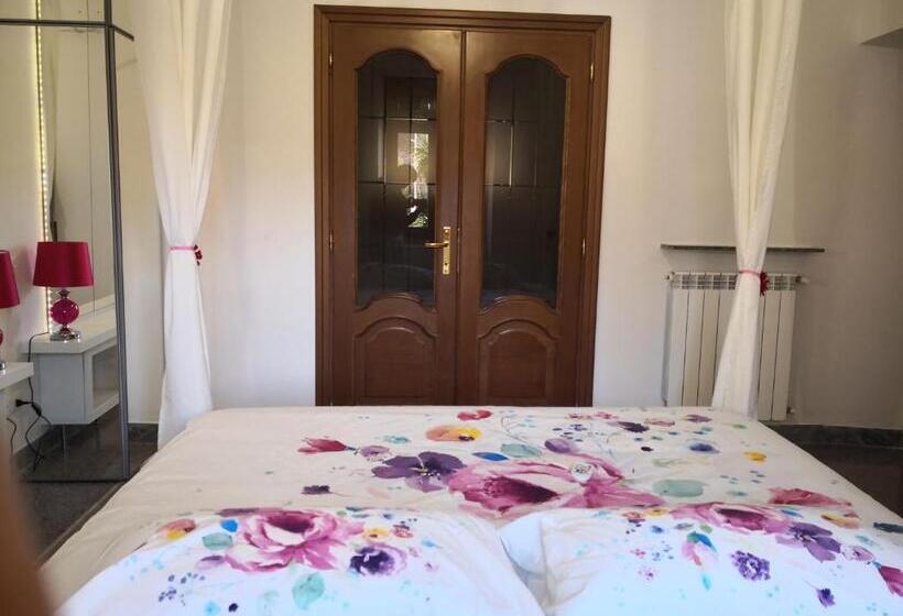 Номер Стандарт, Babbo Maison