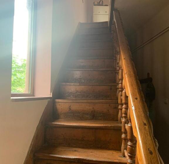 آپارتمان 1 خوابه با تراس, Vila Zia