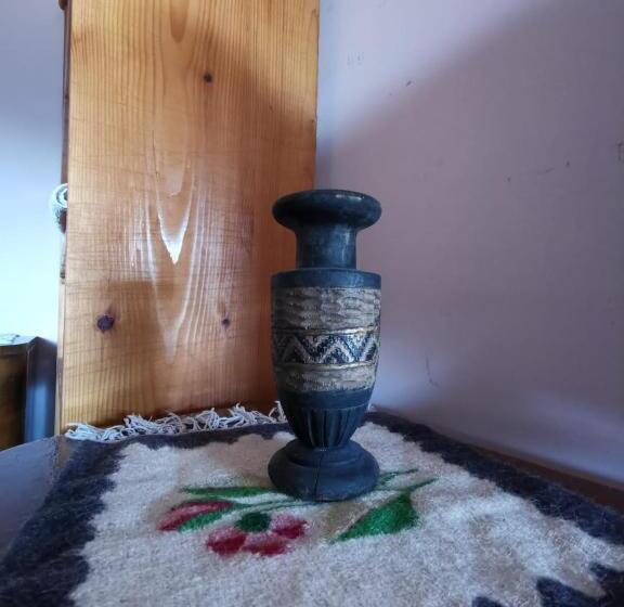 آپارتمان 1 خوابه با تراس, Vila Zia
