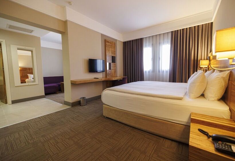 Полулюкс, Ramada by Wyndham Cappadocia