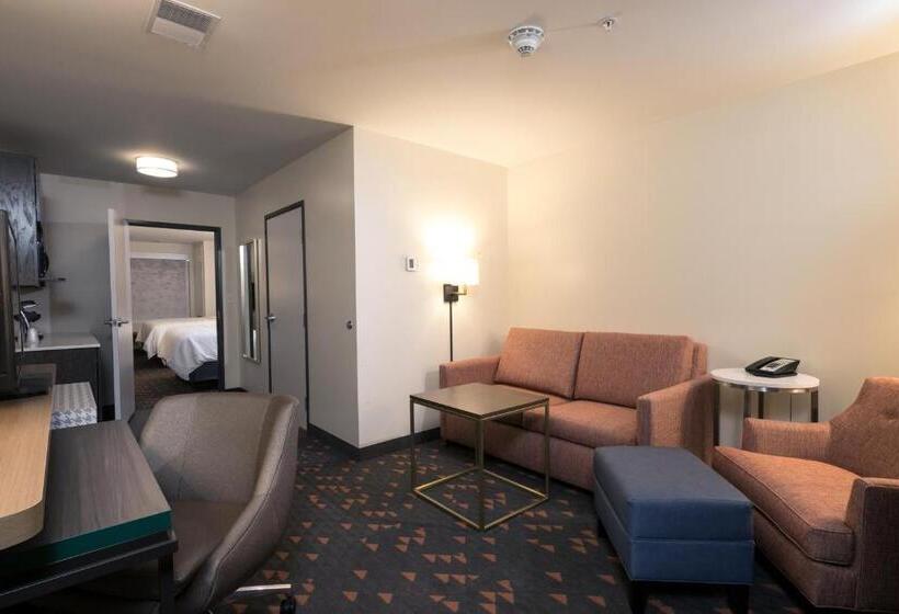 高级客房, Holiday Inn & Suites Detroit   Troy, An Ihg
