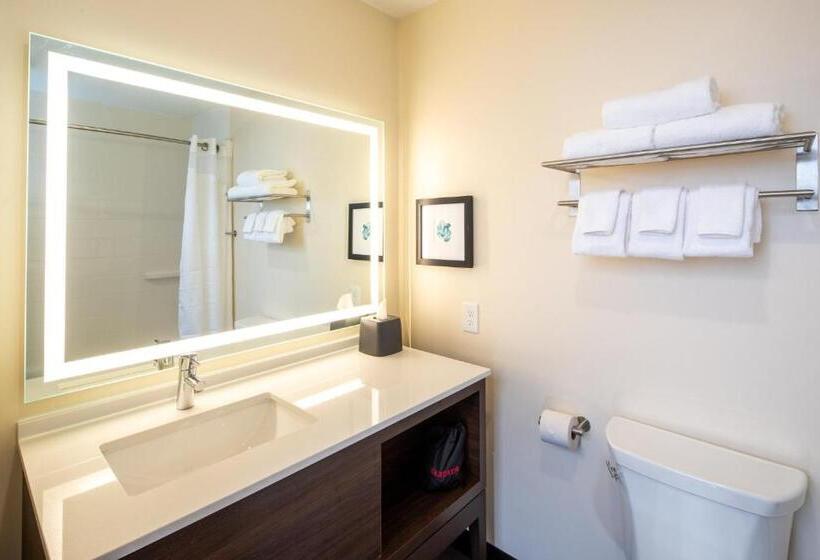 高级客房, Holiday Inn & Suites Detroit   Troy, An Ihg
