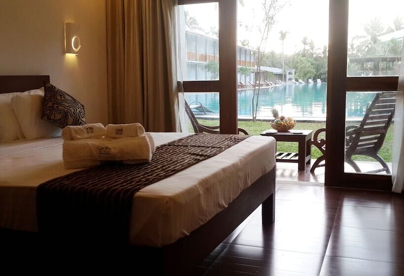 豪华房间, Carolina Beach Resort & Spa