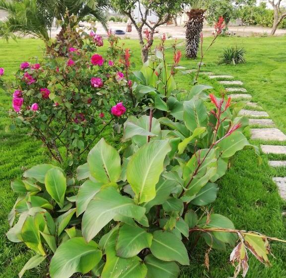Номер Стандарт Трехместный, Il Giardino Dei Tramonti