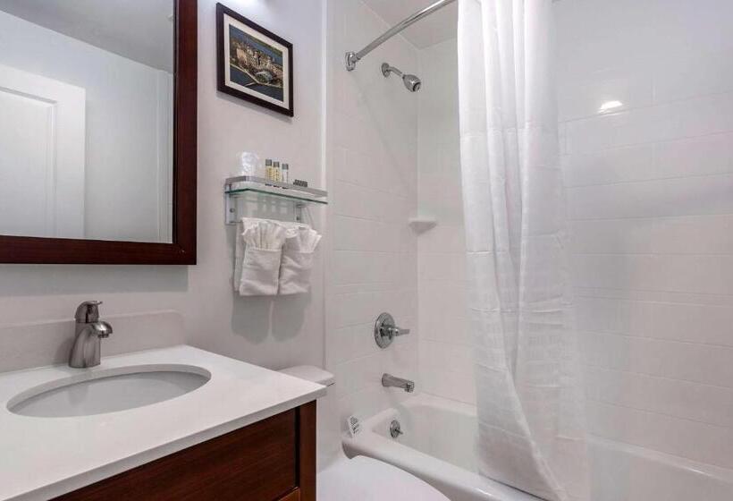 اتاق استاندارد, Avion Inn Near Lga Airport, Ascend Hotel Collection