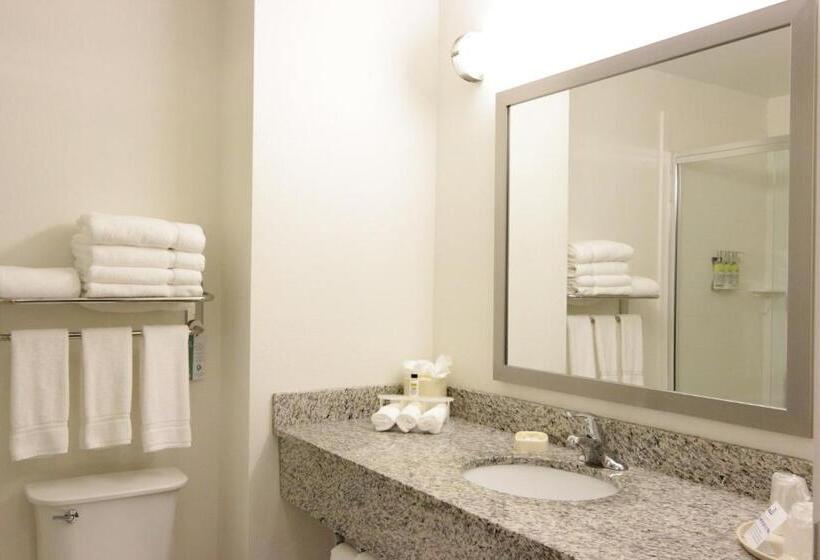 キングサイズベッドのスイートルーム, Holiday Inn Express And Suites Montgomery, An Ihg