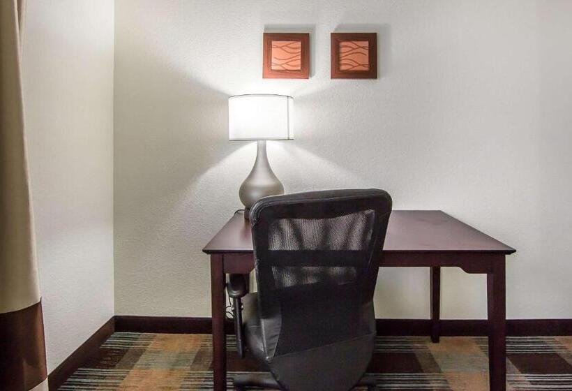 스탠다드 룸 더블 침대 2개, Comfort Inn Lexington South