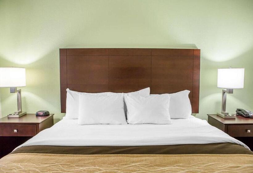 스탠다드 룸 킹사이즈 침대, Comfort Inn Lexington South