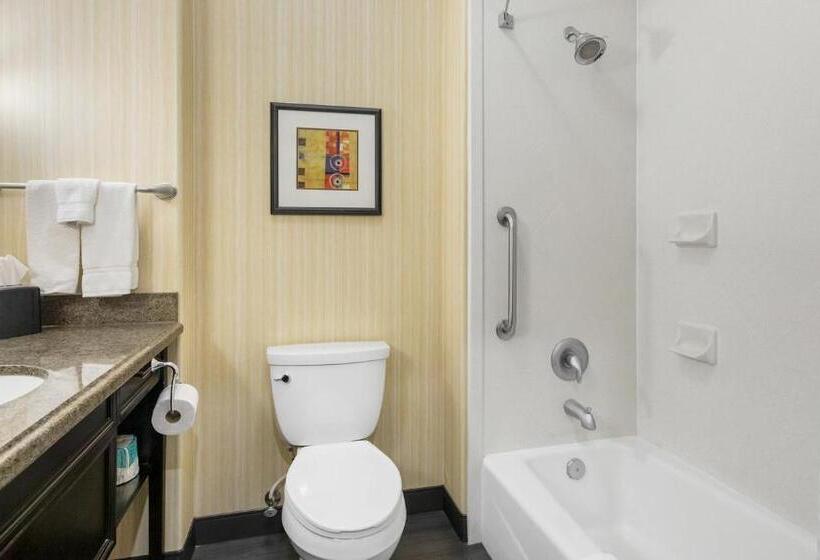 Стандартный Номер Кровать Кинг, Holiday Inn Hotel & Suites Waco Northwest, An Ihg