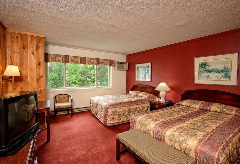 Номер Премиум, Snowy Owl Inn