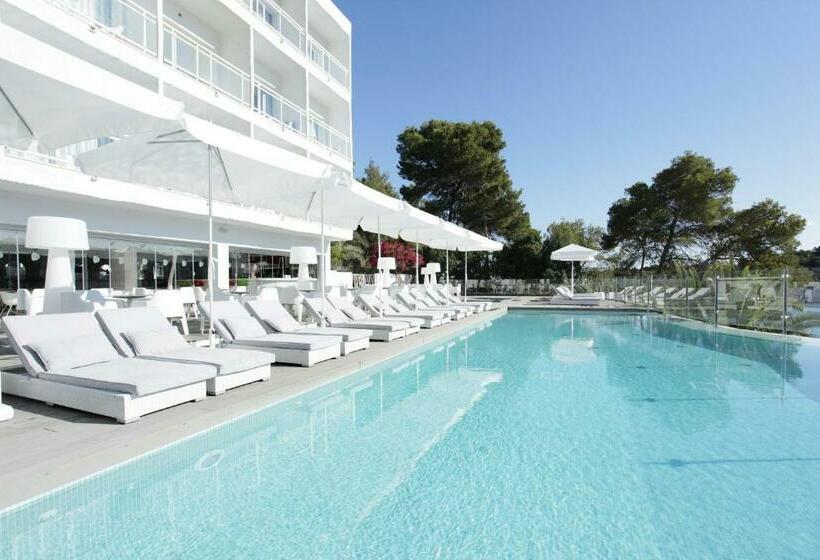 اتاق سوپریور یک تخته, Grupotel Ibiza Beach Resort - Adults Only