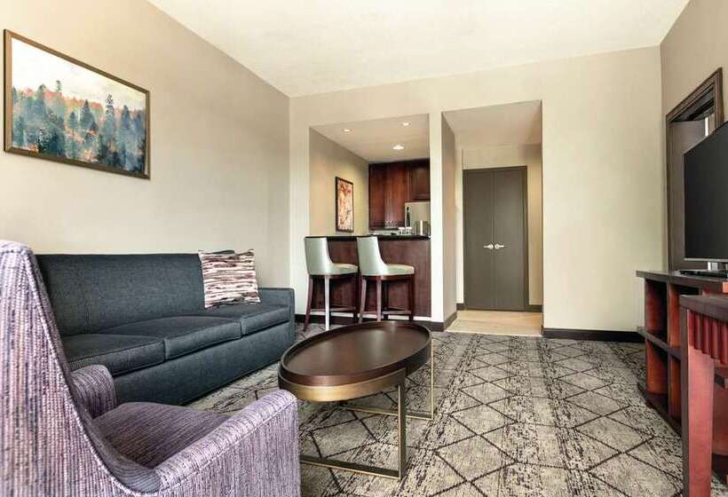 Студио Стандарт Кровать Кинг, Home2 Suites By Hilton Salt Lake City/layton, Ut