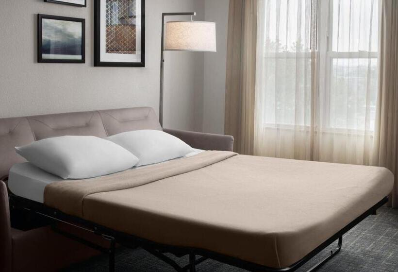 Люкс Кровать Кинг, Residence Inn East Rutherford Meadowlands