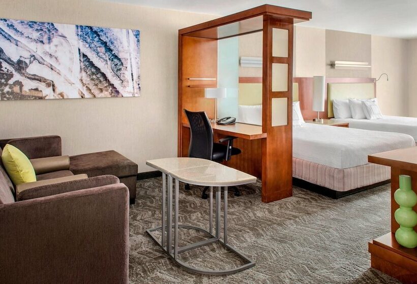 Студия Стандарт, Springhill Suites Long Island Brookhaven