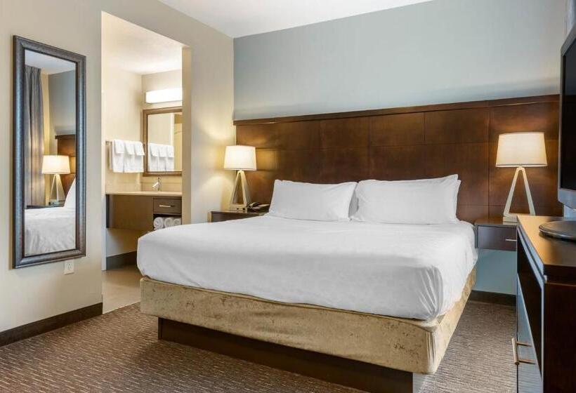 Люкс Deluxe Кровать Кинг, Staybridge Suites St. Petersburg Fl, An Ihg
