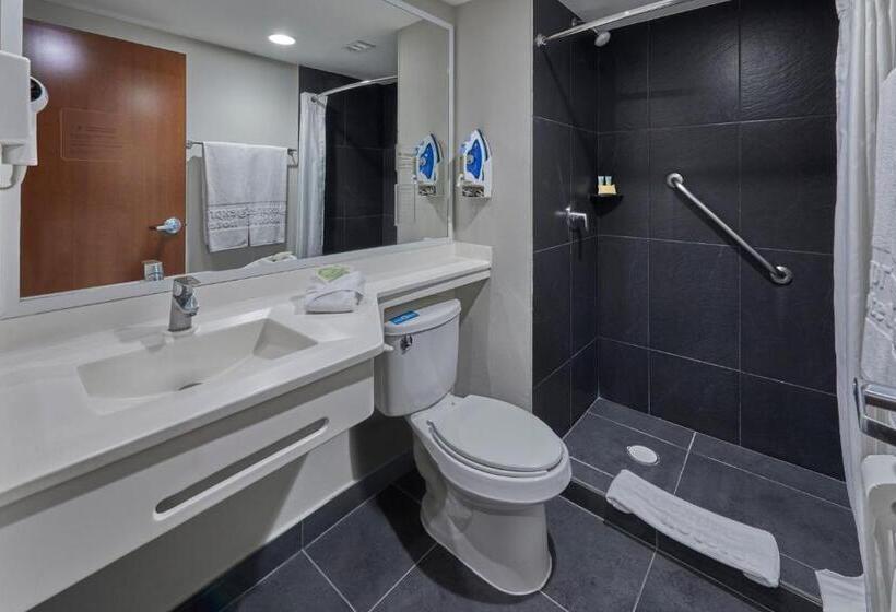 Номер Стандарт 2 Двуспальные Кровати, City Express By Marriott Irapuato Norte