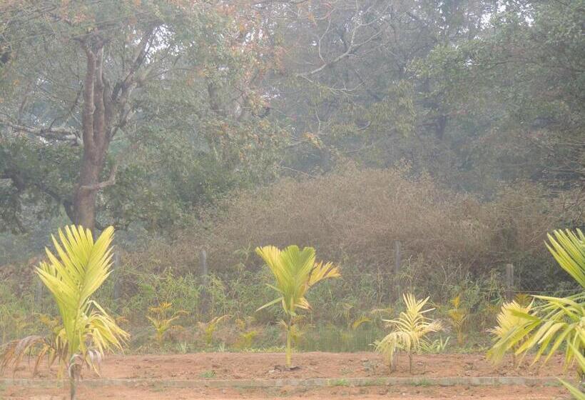 四人标准间, Room In Farmhouse   Dandeli   Aura Jungle Stay