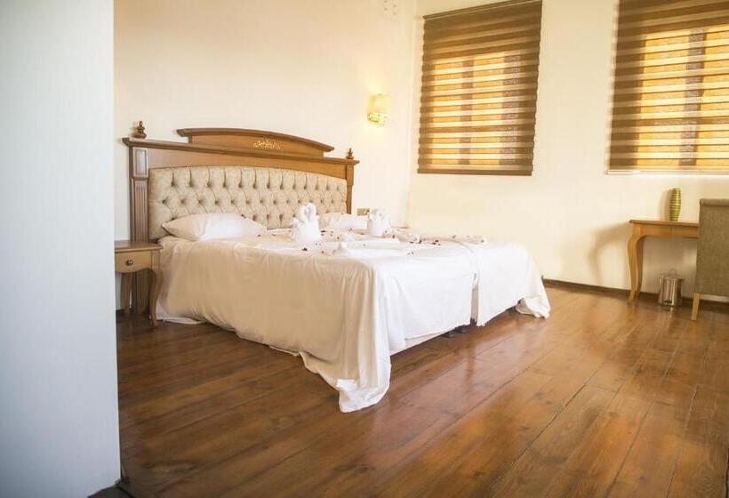 Полулюкс, Thrace Konak Hotel & Spa
