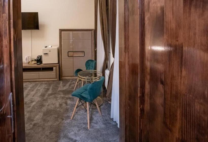 إستوديو ديلوكس, The Nest Baia Mare