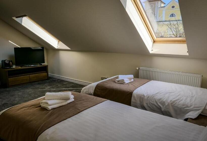 غرفة قياسية ذات إطلالة, The Nest Baia Mare