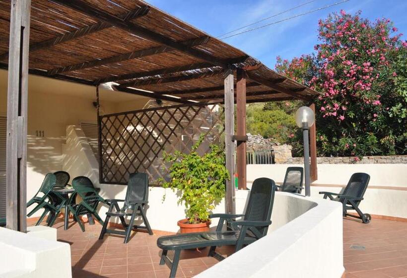 استودیوی استاندارد, Nido D'aquila