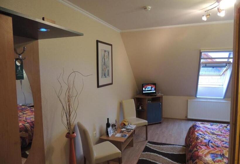 Номер Стандарт, Bajor Panzió Bük Bükfürdő, Adults Friendly 12 Plus
