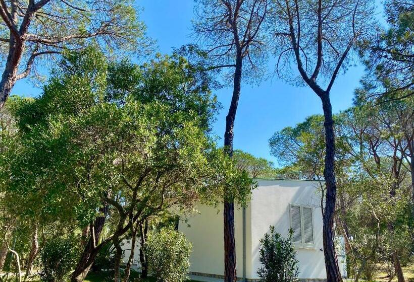 デラックスビラの１ベッドルーム, Riva Del Sole Resort & Spa
