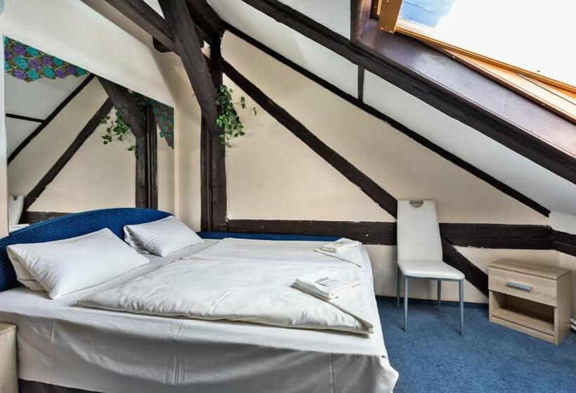 غرفة قياسية, Penzion Hotel Morrison