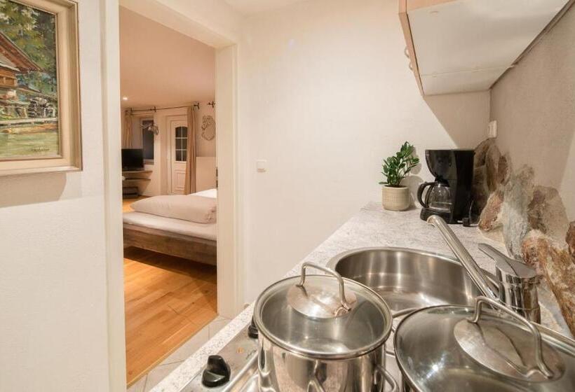 آپارتمان 1 خوابه با چشم‌انداز, Zur Schönen Aussicht Hotel Garni