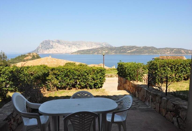 Апартаменты 1 Спальня Вид на Море, Villaggio Est A Capo Coda Cavallo San Teodoro