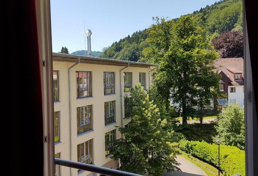Номер Economy Индивидуальный, Nashira Kurpark Hotel  100 Prozent Barrierefrei