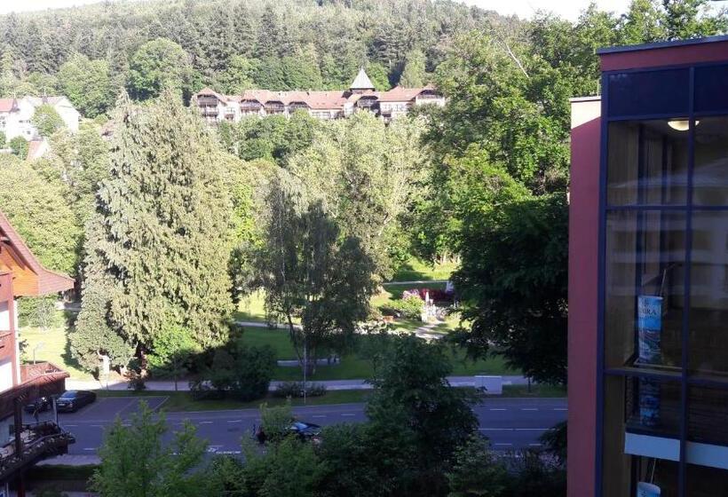 Номер Superior, Nashira Kurpark Hotel  100 Prozent Barrierefrei