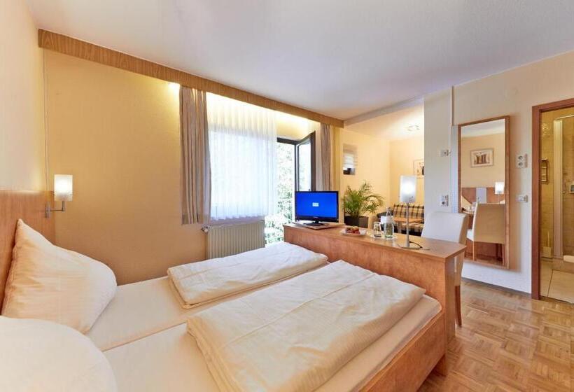 Номер Комфорт Индивидуальный, Waldhotel Felschbachhof