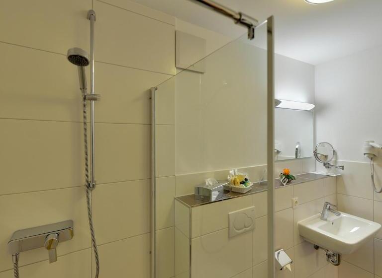 Номер Superior Одноместный, Waldhotel Felschbachhof