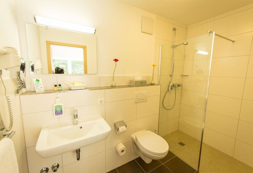 Номер Комфорт Индивидуальный, Waldhotel Felschbachhof