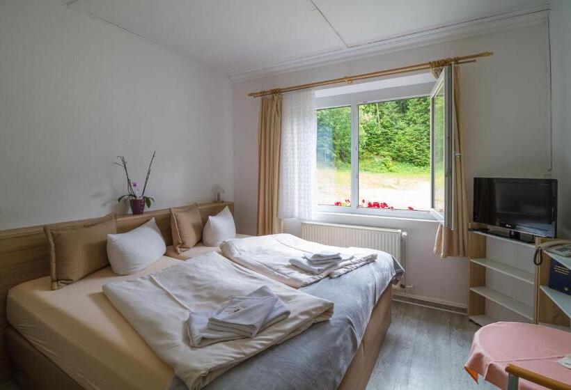 Номер Стандарт, Waldhotel Rennsteighöhe