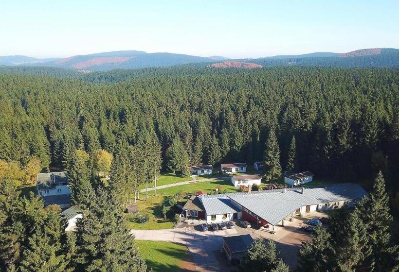 Бунгало Стандарт, Waldhotel Rennsteighöhe