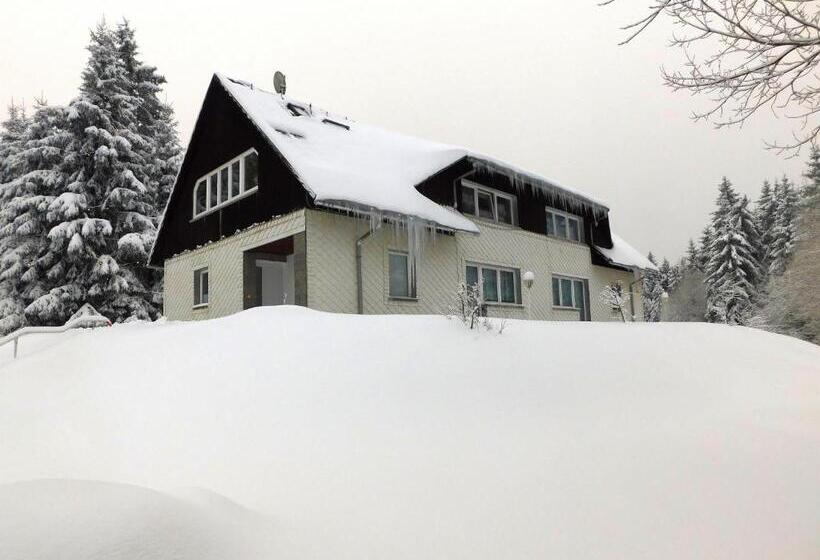 Апартаменты 2 Спальни, Waldhotel Rennsteighöhe
