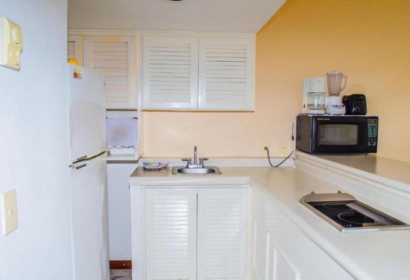 침실 1개 아파트, Enna Inn Ixtapa Departamento 01 Recamara Vista Mar