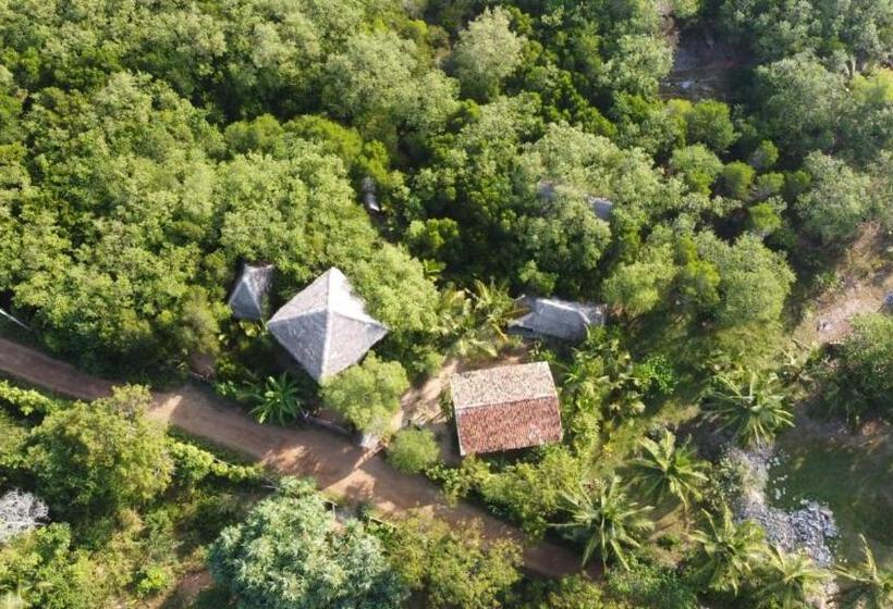 豪华房间, Mermaid Cabana And Tree Houses