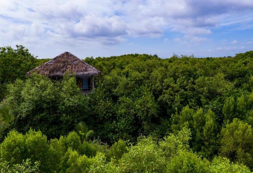 带阳台的豪华间, Mermaid Cabana And Tree Houses