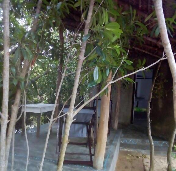 标准间, Mermaid Cabana And Tree Houses