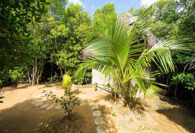标准间, Mermaid Cabana And Tree Houses