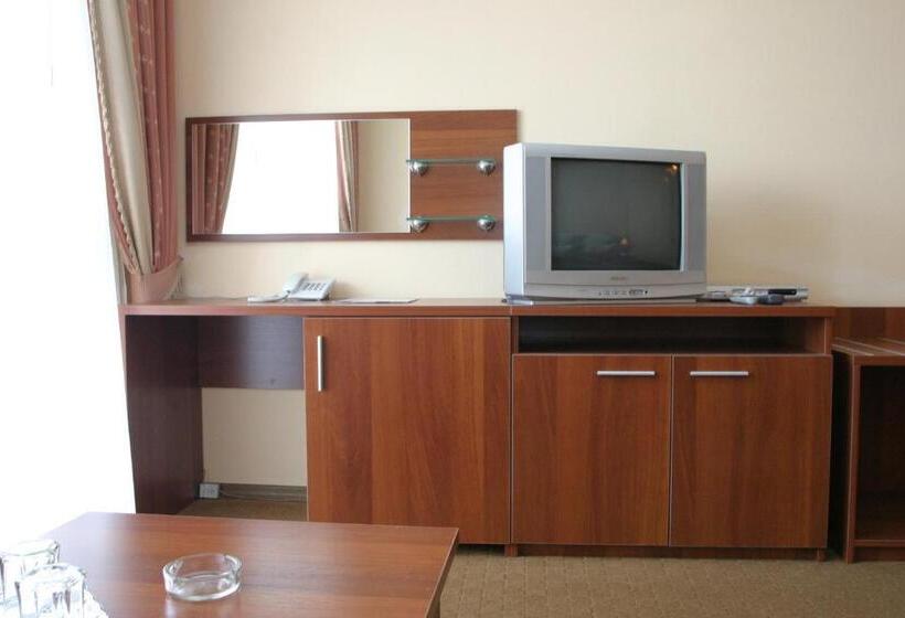 اتاق سوپریور, Intourist Zakarpattia