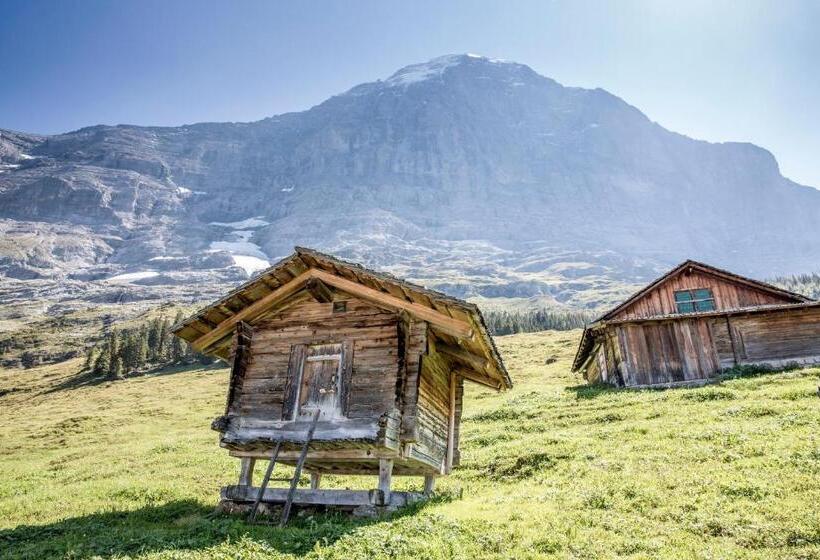 Deluxe люкс с видом, Aspen Alpine Lifestyle
