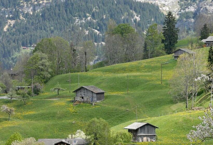 سوئیت دولوکس با چشم‌انداز, Aspen Alpine Lifestyle