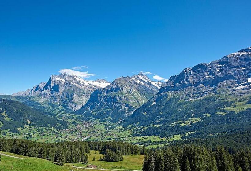 سوئیت دلوکس 3 خوابه, Aspen Alpine Lifestyle
